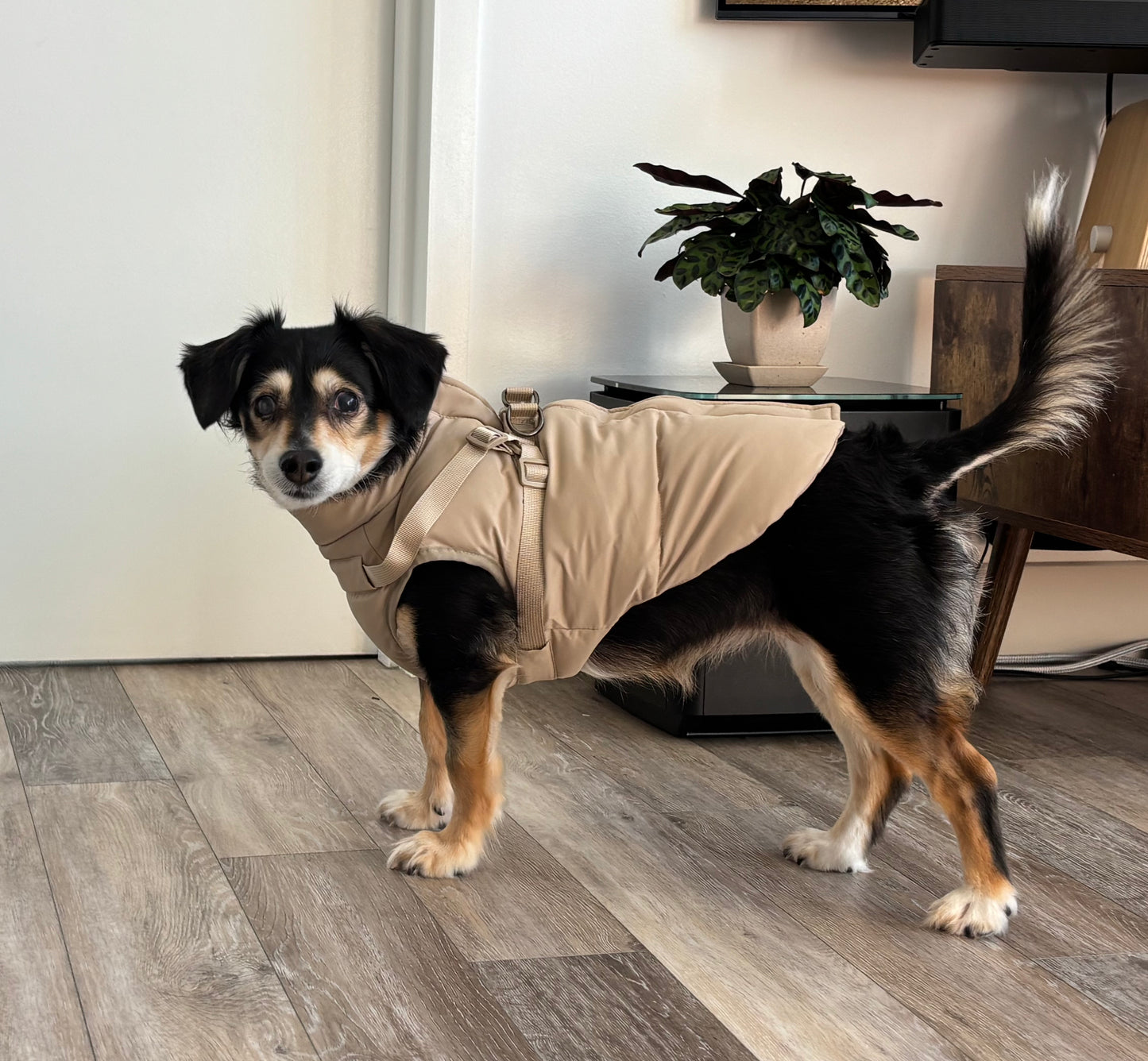 Waterproof Puff Dog Jacket with Built-in Harness – Winter Warm Padded Pet Coat, Windproof Adjustable Puppy Outerwear (Khaki)