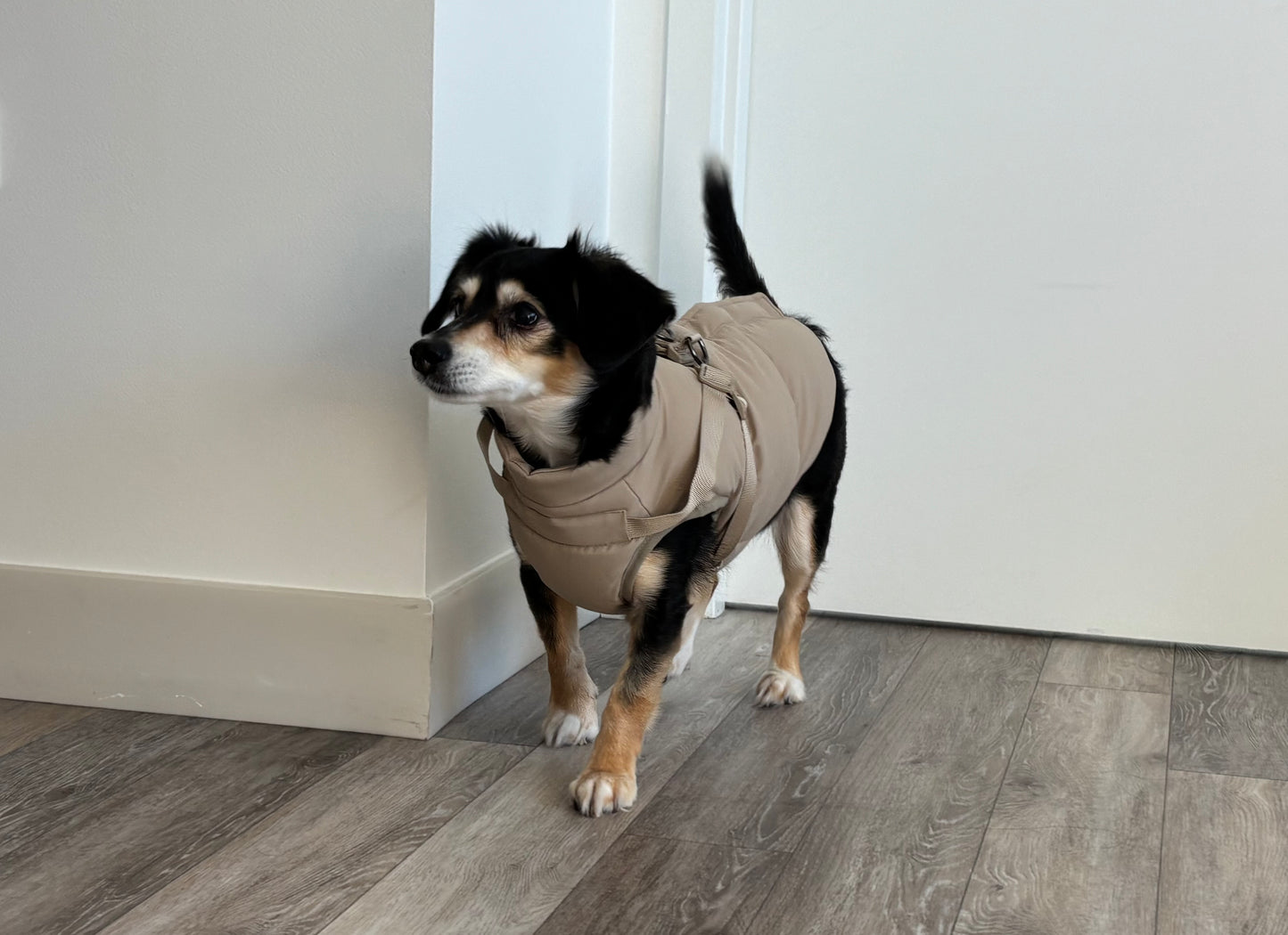 Waterproof Puff Dog Jacket with Built-in Harness – Winter Warm Padded Pet Coat, Windproof Adjustable Puppy Outerwear (Khaki)