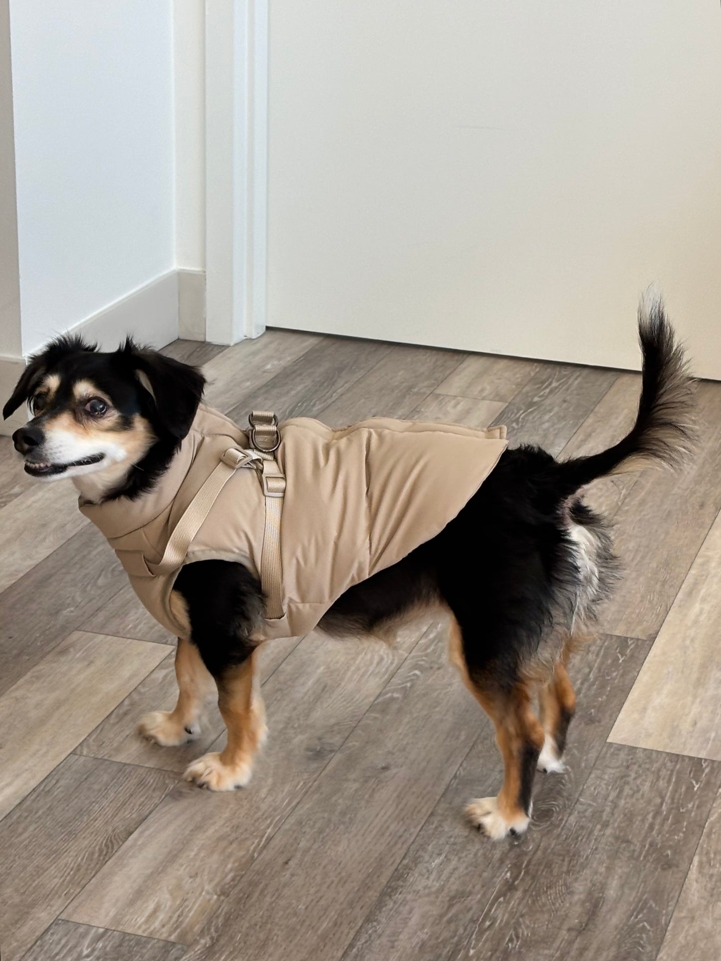 Waterproof Puff Dog Jacket with Built-in Harness – Winter Warm Padded Pet Coat, Windproof Adjustable Puppy Outerwear (Khaki)