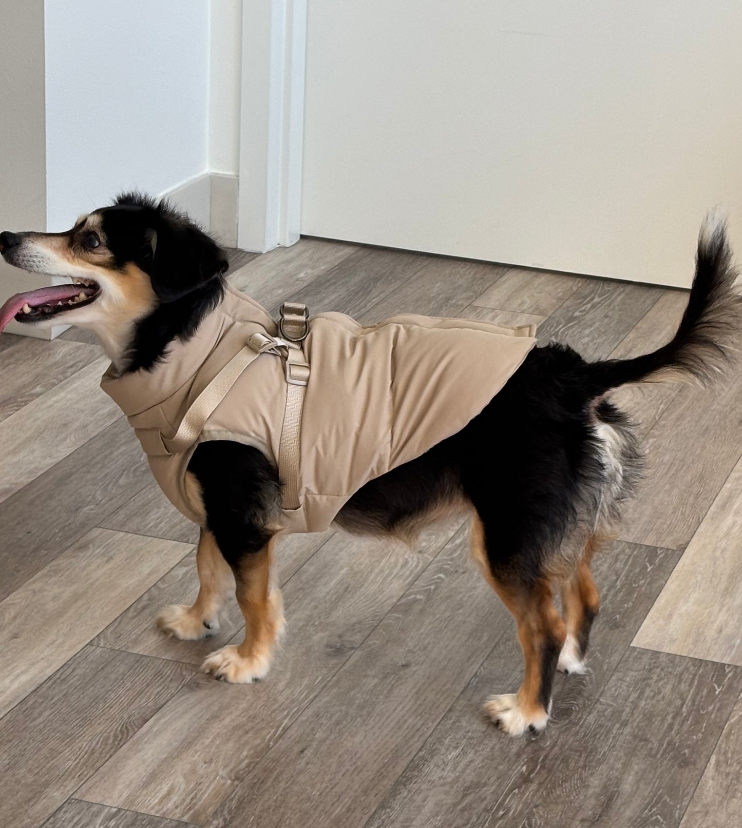 Waterproof Puff Dog Jacket with Built-in Harness – Winter Warm Padded Pet Coat, Windproof Adjustable Puppy Outerwear (Khaki)