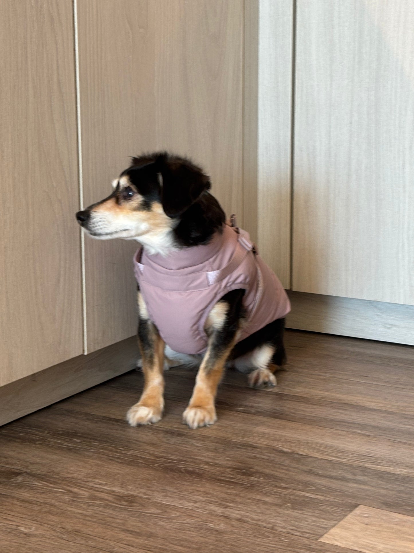 Waterproof Puff Dog Jacket with Built-in Harness – Winter Warm Padded Pet Coat, Windproof Adjustable Puppy Outerwear (Pink)