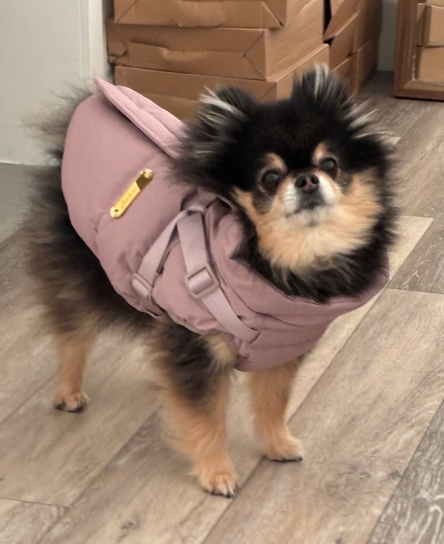 Waterproof Puff Dog Jacket with Built-in Harness – Winter Warm Padded Pet Coat, Windproof Adjustable Puppy Outerwear (Pink)