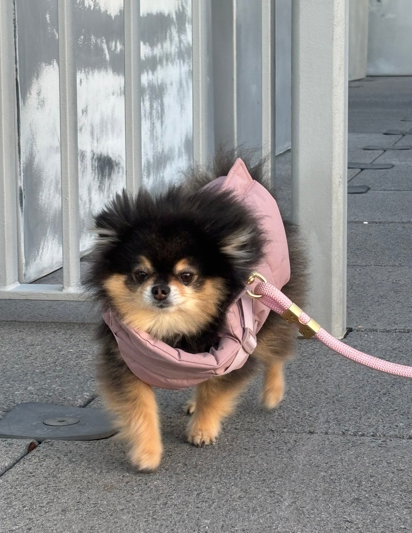 Waterproof Puff Dog Jacket with Built-in Harness – Winter Warm Padded Pet Coat, Windproof Adjustable Puppy Outerwear (Pink)