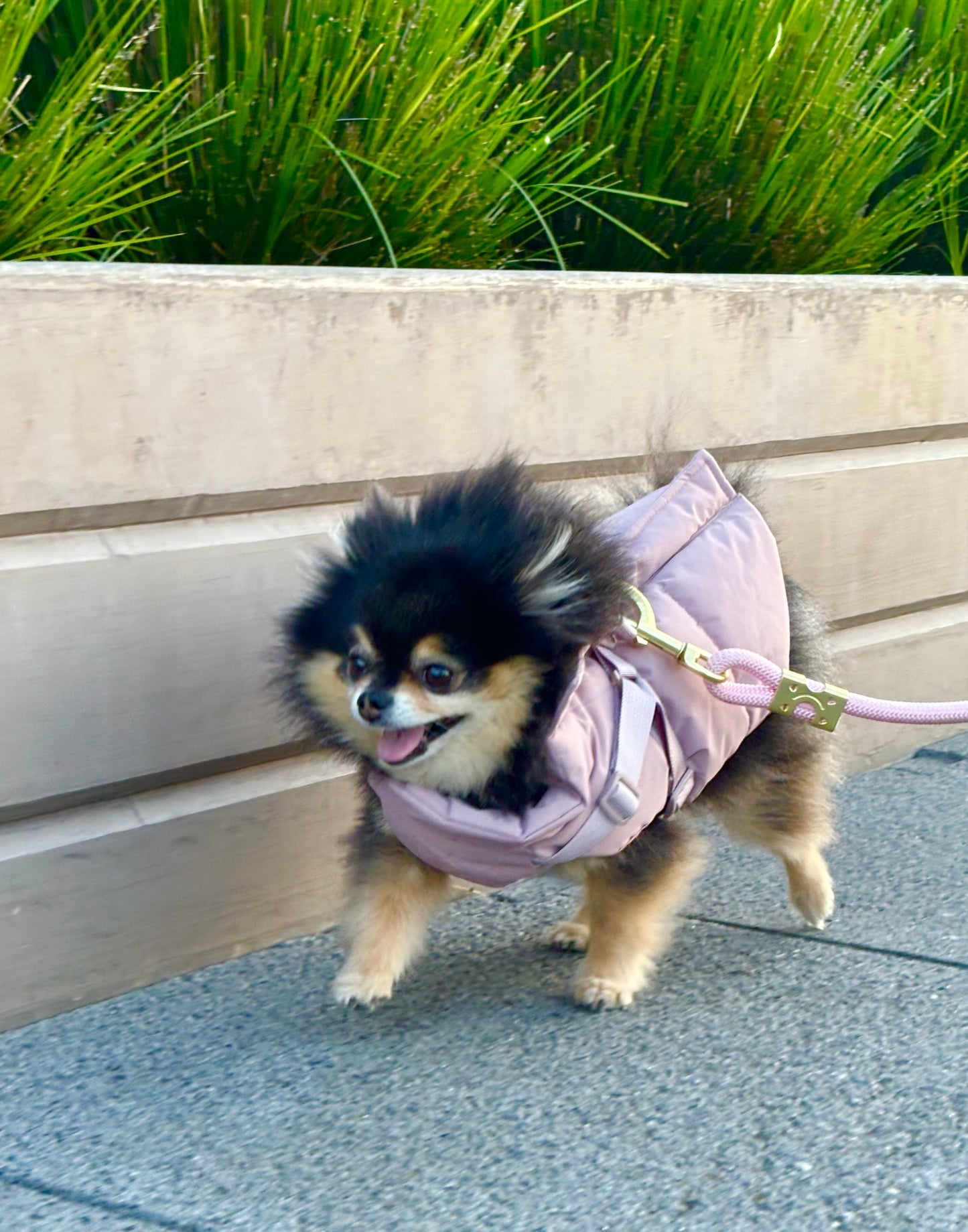 Waterproof Puff Dog Jacket with Built-in Harness – Winter Warm Padded Pet Coat, Windproof Adjustable Puppy Outerwear (Pink)