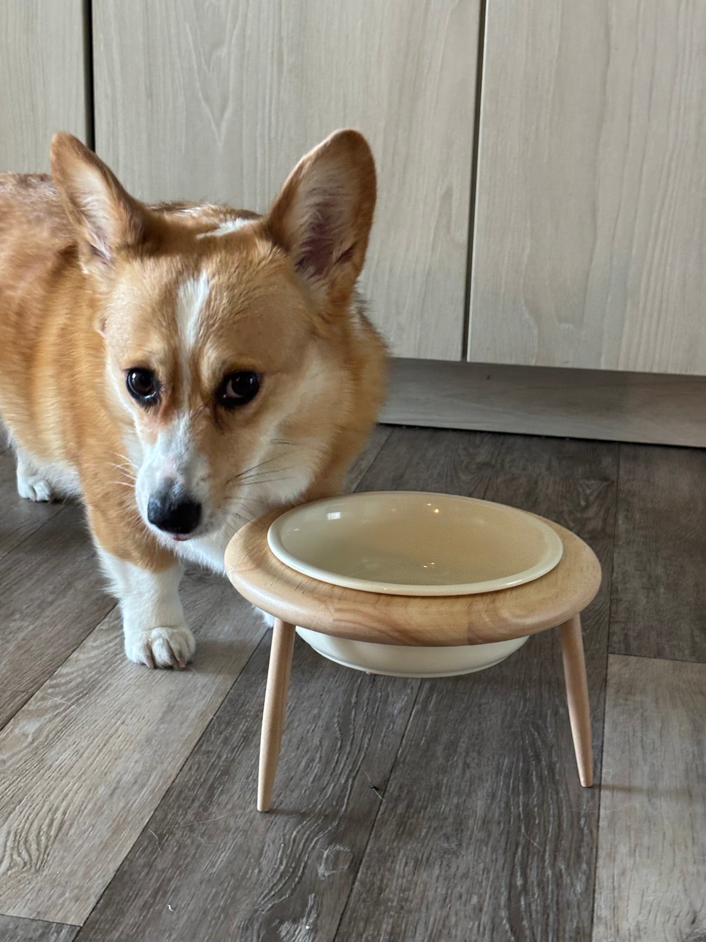 Elevated Ceramic Pet Bowl Wooden Stand – Beige Bowl + Stand with Two-Way Tilt Function/ Water Bowl/ Raised Bowl