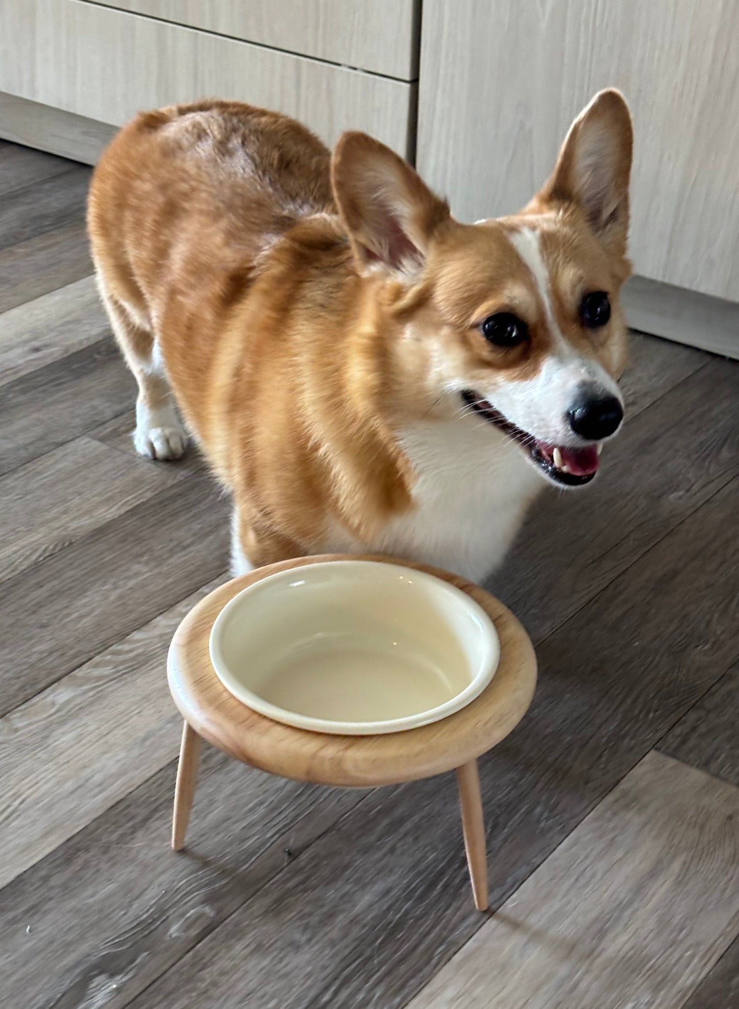 Elevated Ceramic Pet Bowl Wooden Stand – Beige Bowl + Stand with Two-Way Tilt Function/ Water Bowl/ Raised Bowl