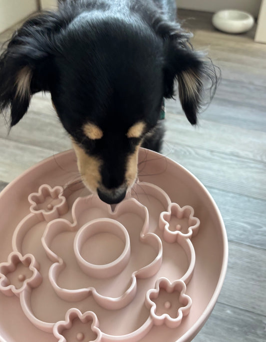 Silicone Slow Feeder Bowl (Flower) – Non-Slip | Dishwasher Safe