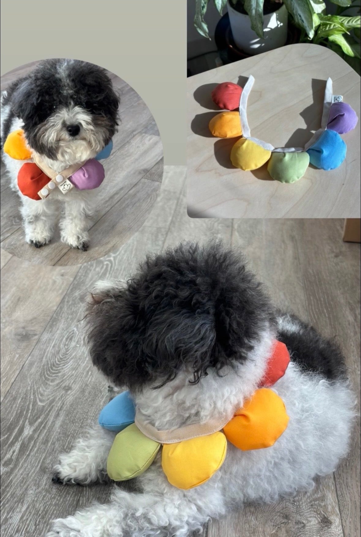 Puff Rainbow Bandana for Cats and Dogs