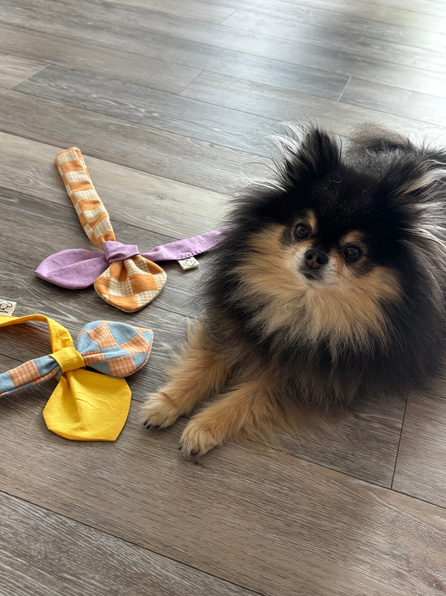 Knot Bow Tie for Cats and Dogs – Adjustable Pet Collar Accessory