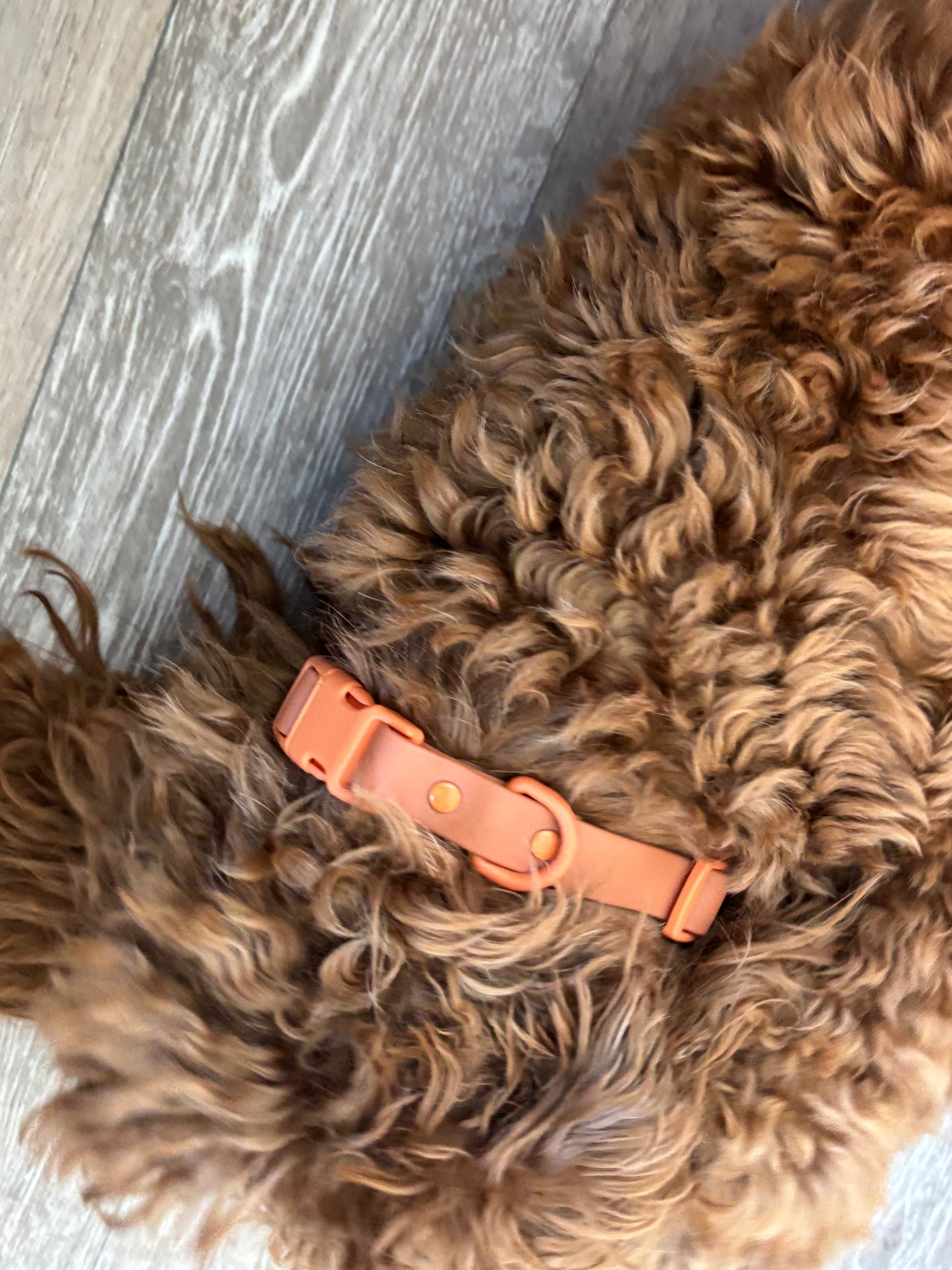 Orbit Dog Collar – Waterproof PVC Space-Inspired Collar