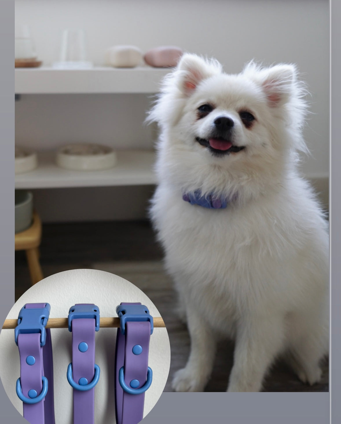 Orbit Dog Collar – Waterproof PVC Space-Inspired Collar