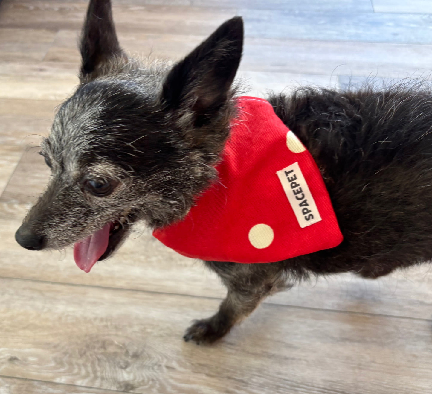 Handmade Cotton Dog Bandana – Christmas Red Dot Pet Neckwear