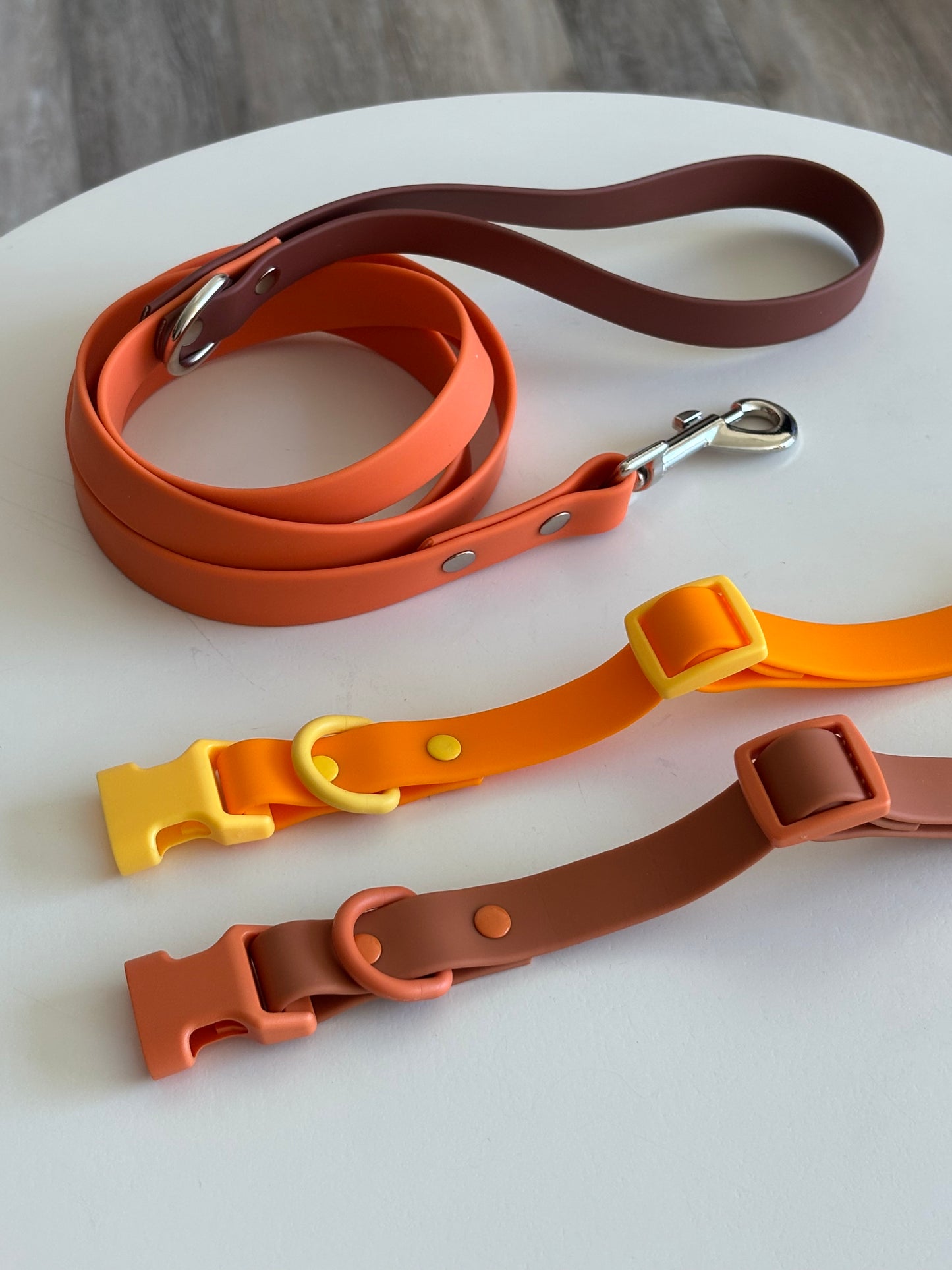 [1+2] Orbit Dog Leash & Collar Set – Space Pet Waterproof PVC Collection