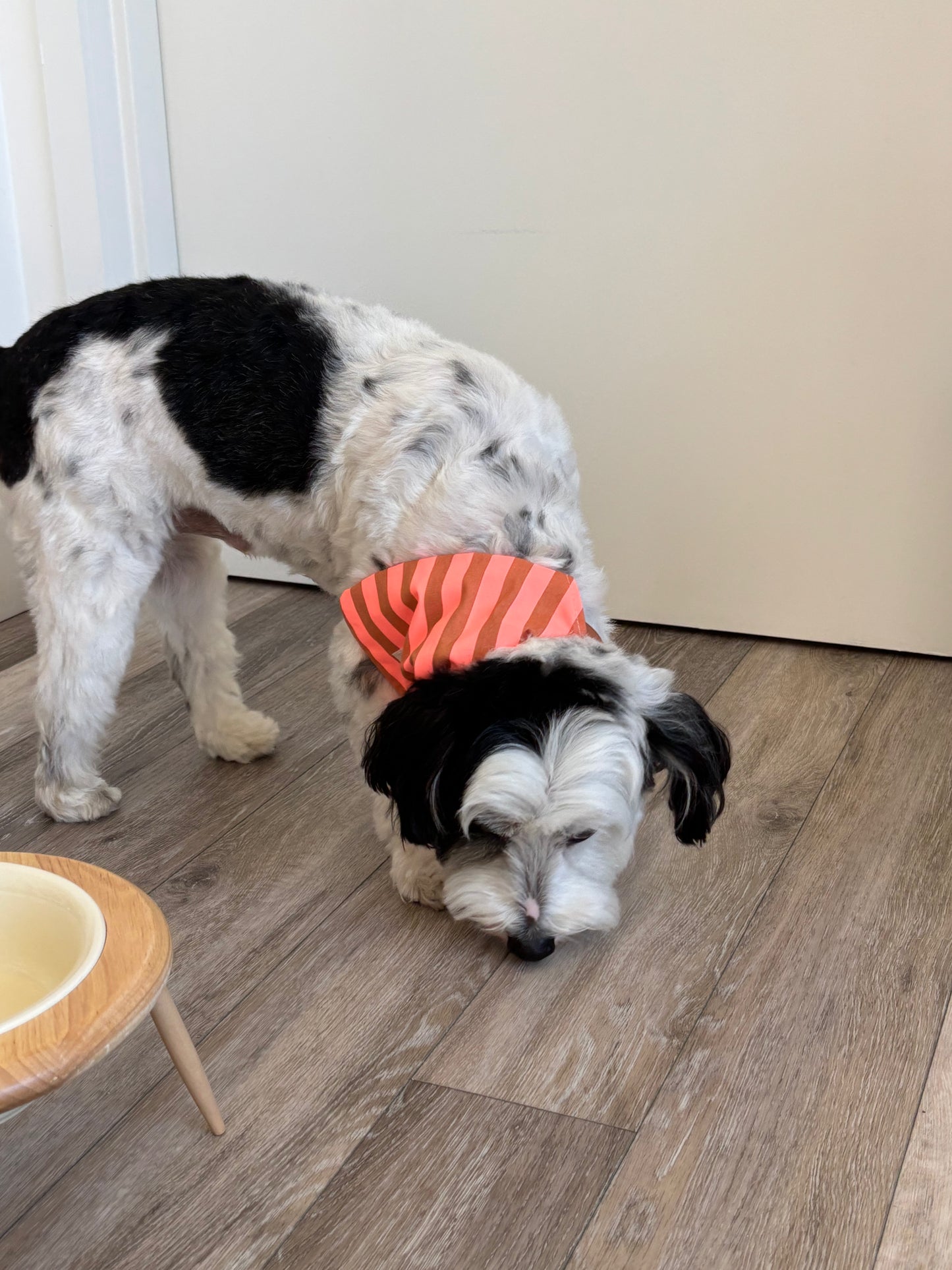 Handmade Cotton Dog Bandana – Orange Striped Pet Neckwear