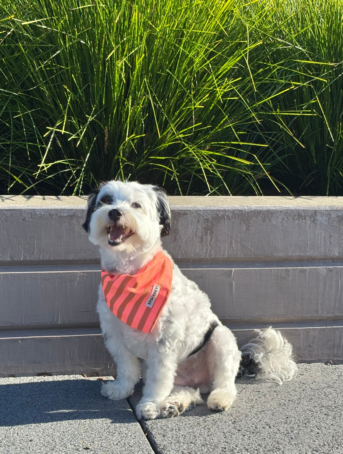 Handmade Cotton Dog Bandana – Orange Striped Pet Neckwear