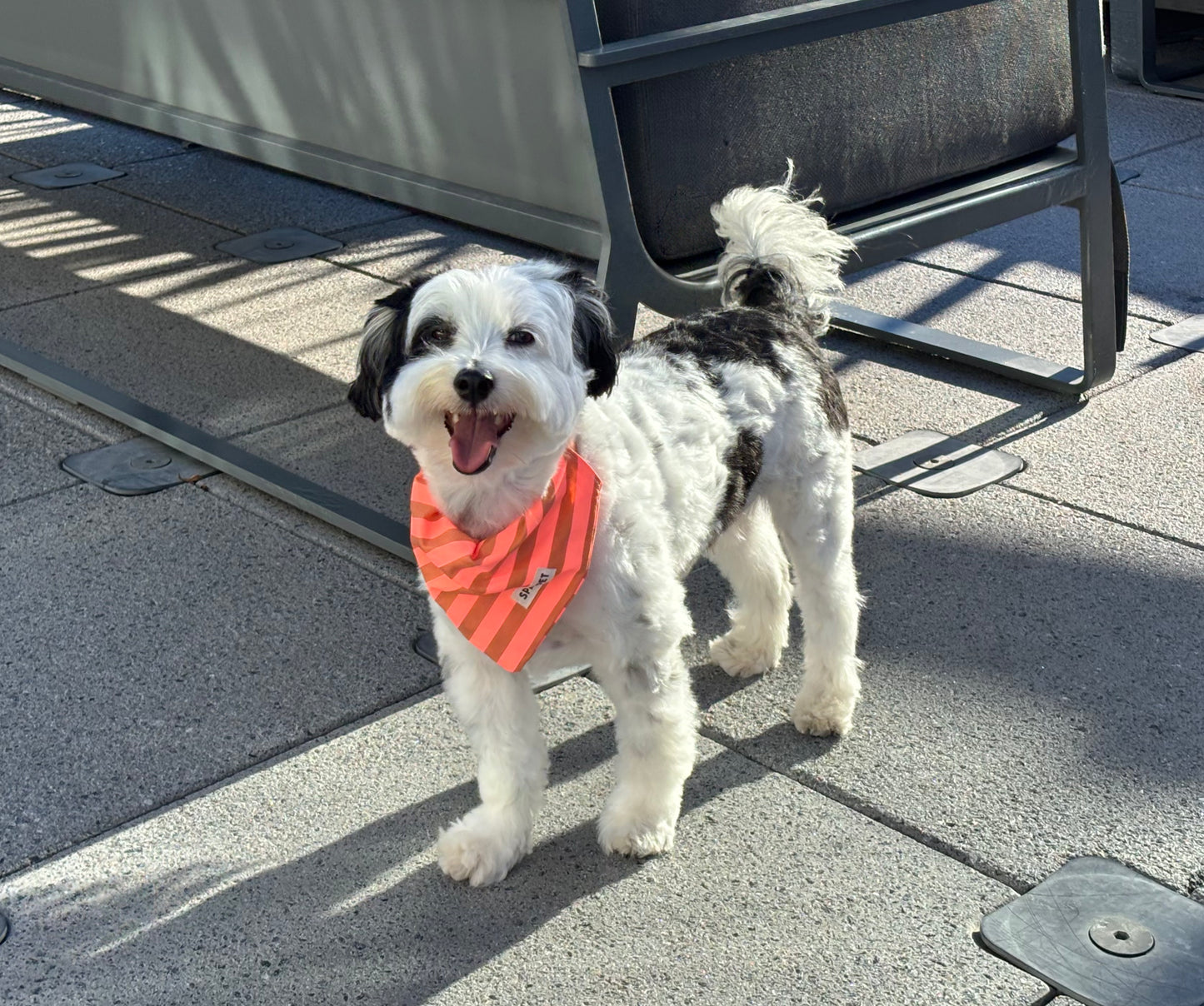 Handmade Cotton Dog Bandana – Orange Striped Pet Neckwear