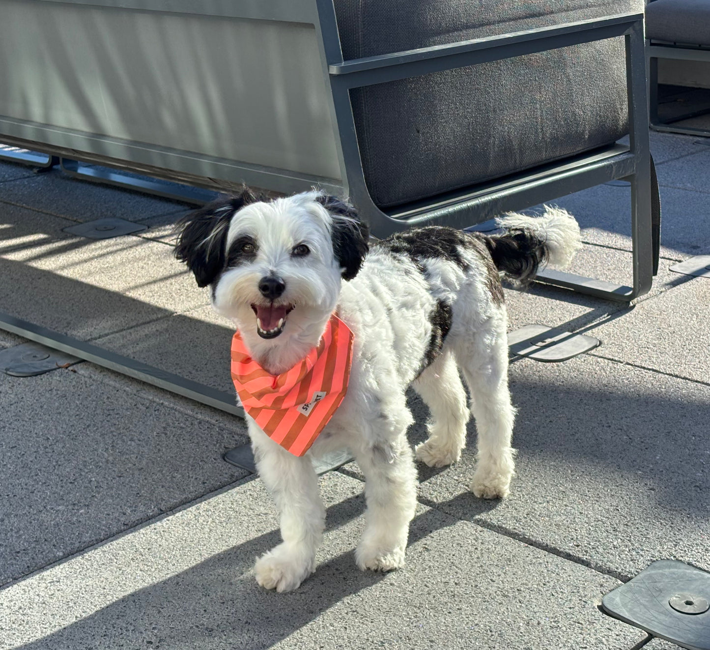 Handmade Cotton Dog Bandana – Orange Striped Pet Neckwear