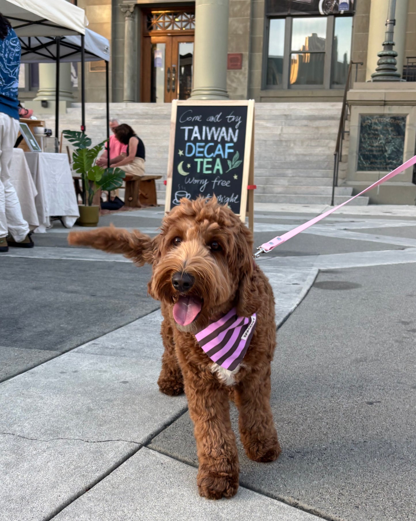Handmade Cotton Dog Bandana – Purple Striped Pet Neckwear