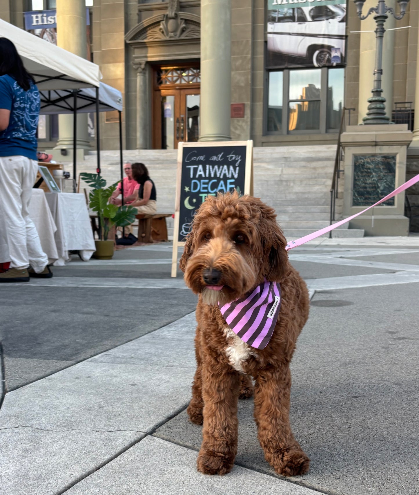 Handmade Cotton Dog Bandana – Purple Striped Pet Neckwear