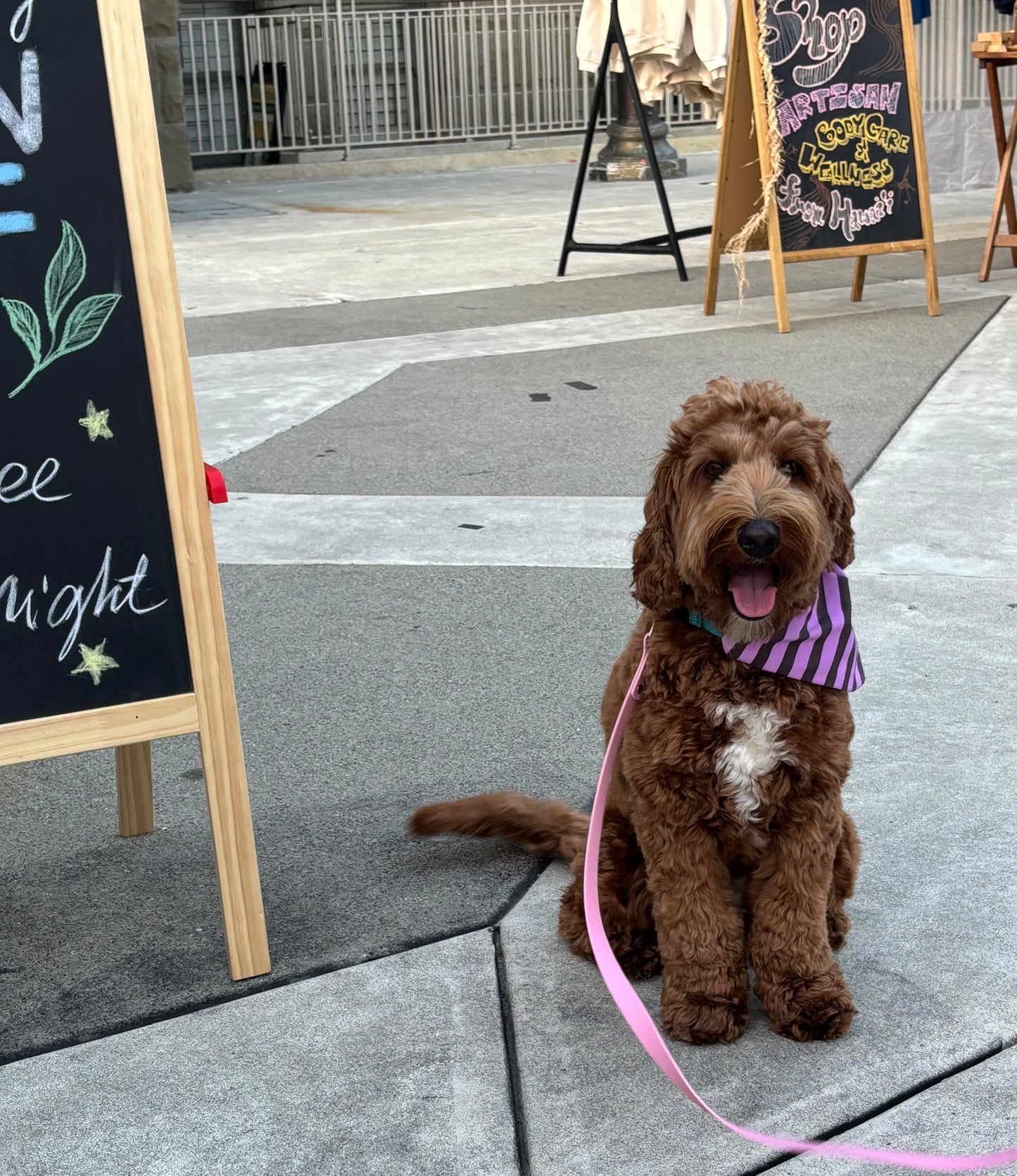 Handmade Cotton Dog Bandana – Purple Striped Pet Neckwear
