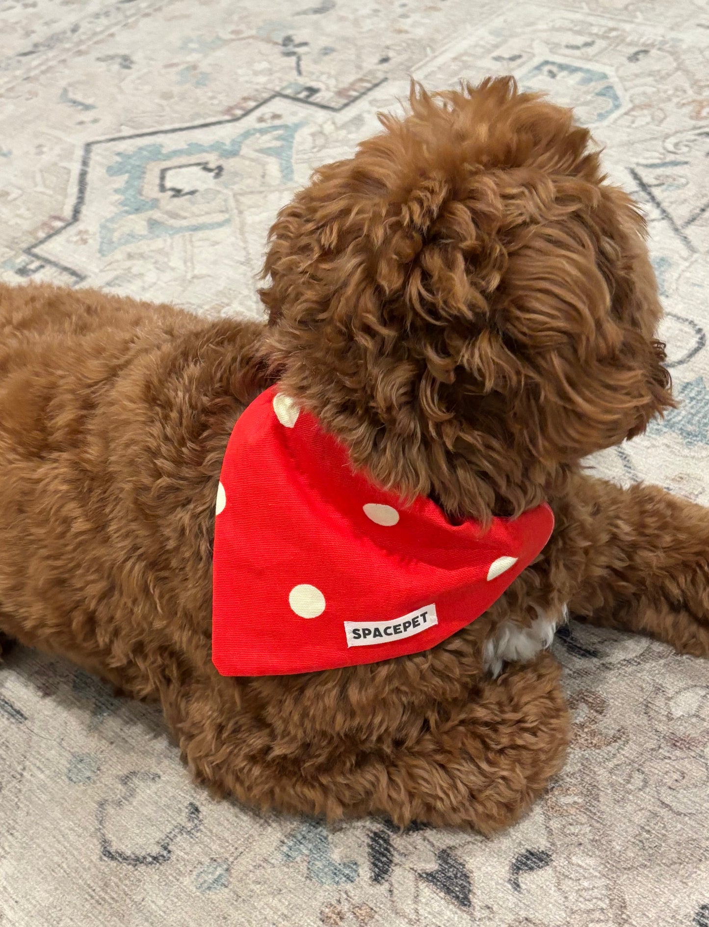 Handmade Cotton Dog Bandana – Christmas Red Dot Pet Neckwear