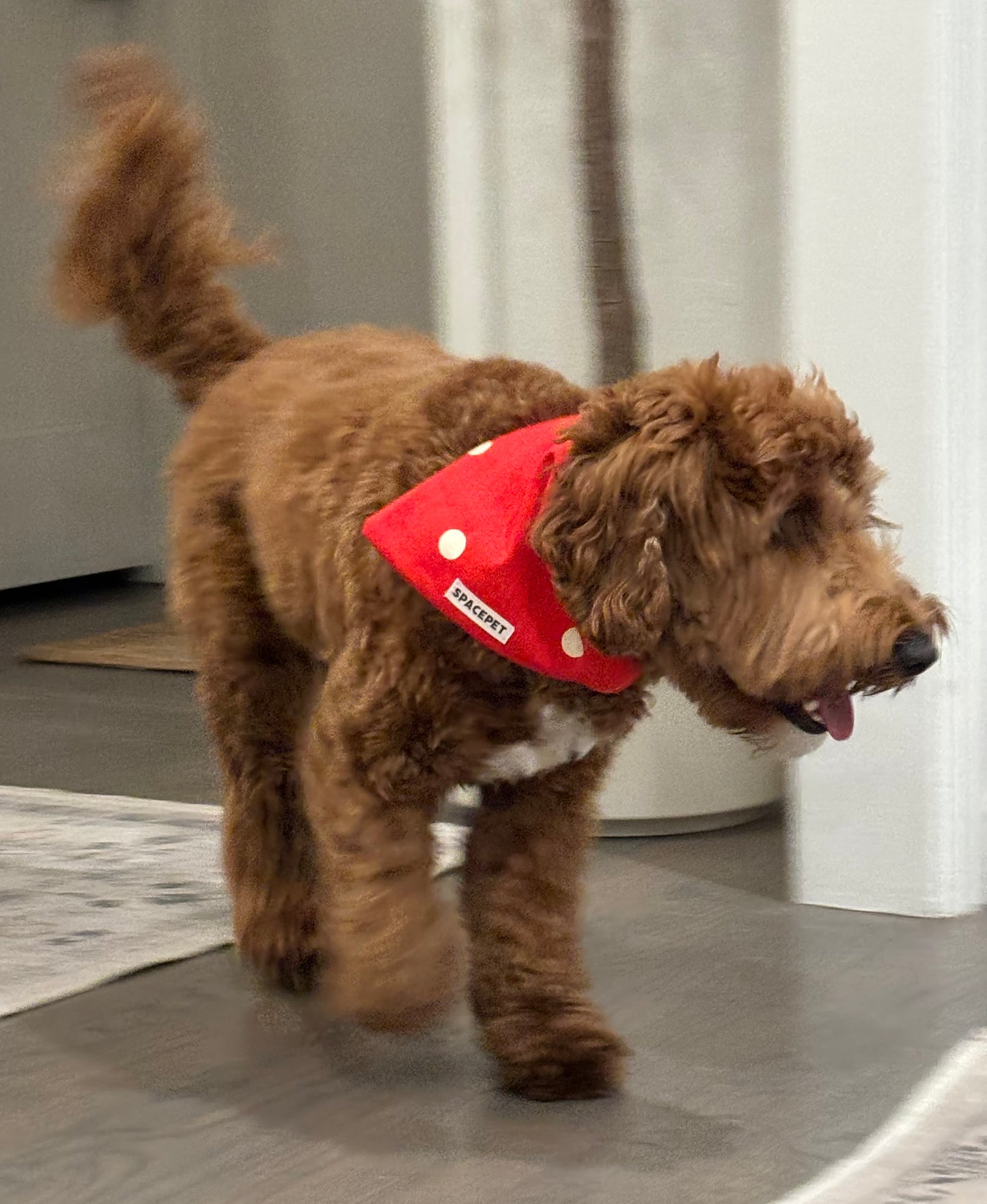 Handmade Cotton Dog Bandana – Christmas Red Dot Pet Neckwear