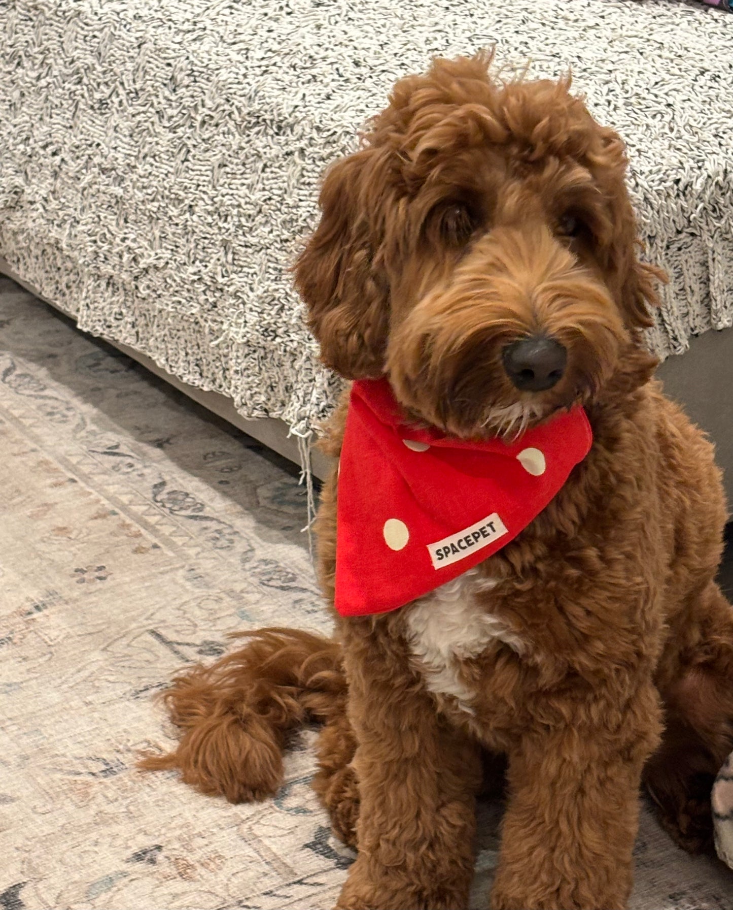 Handmade Cotton Dog Bandana – Christmas Red Dot Pet Neckwear