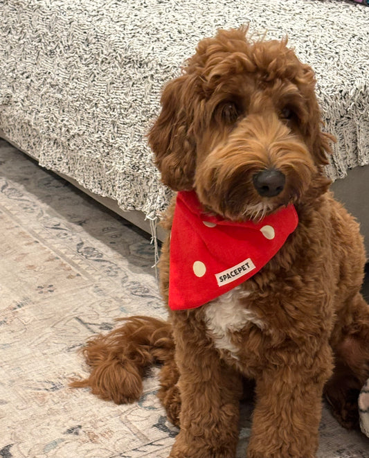 Handmade Cotton Dog Bandana – Christmas Red Dot Pet Neckwear