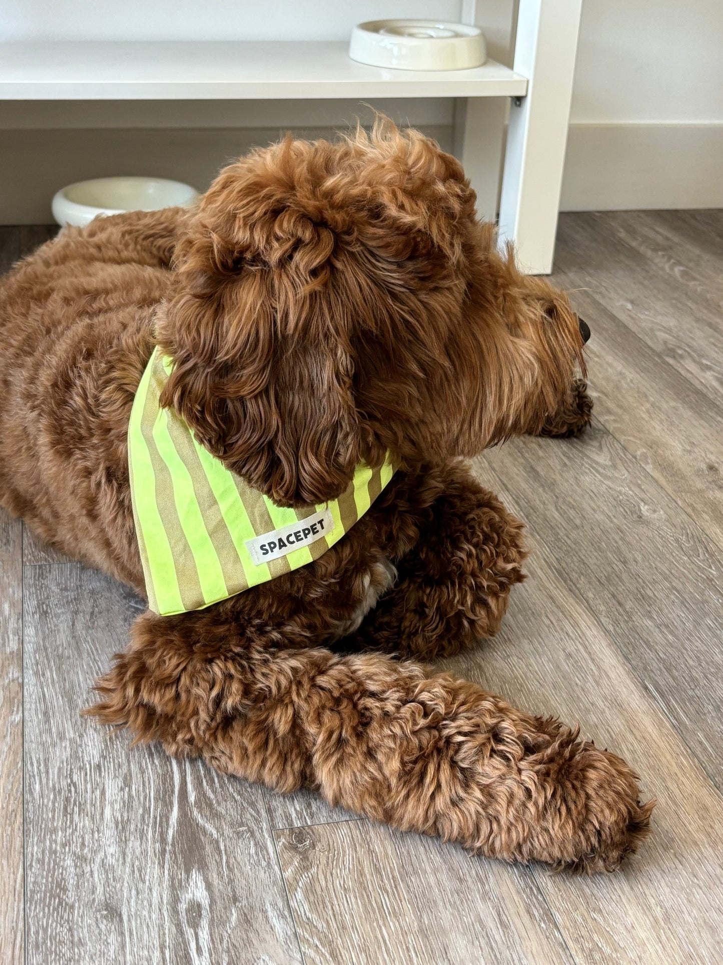 Handmade Cotton Dog Bandana – Yellow Striped Pet Neckwear