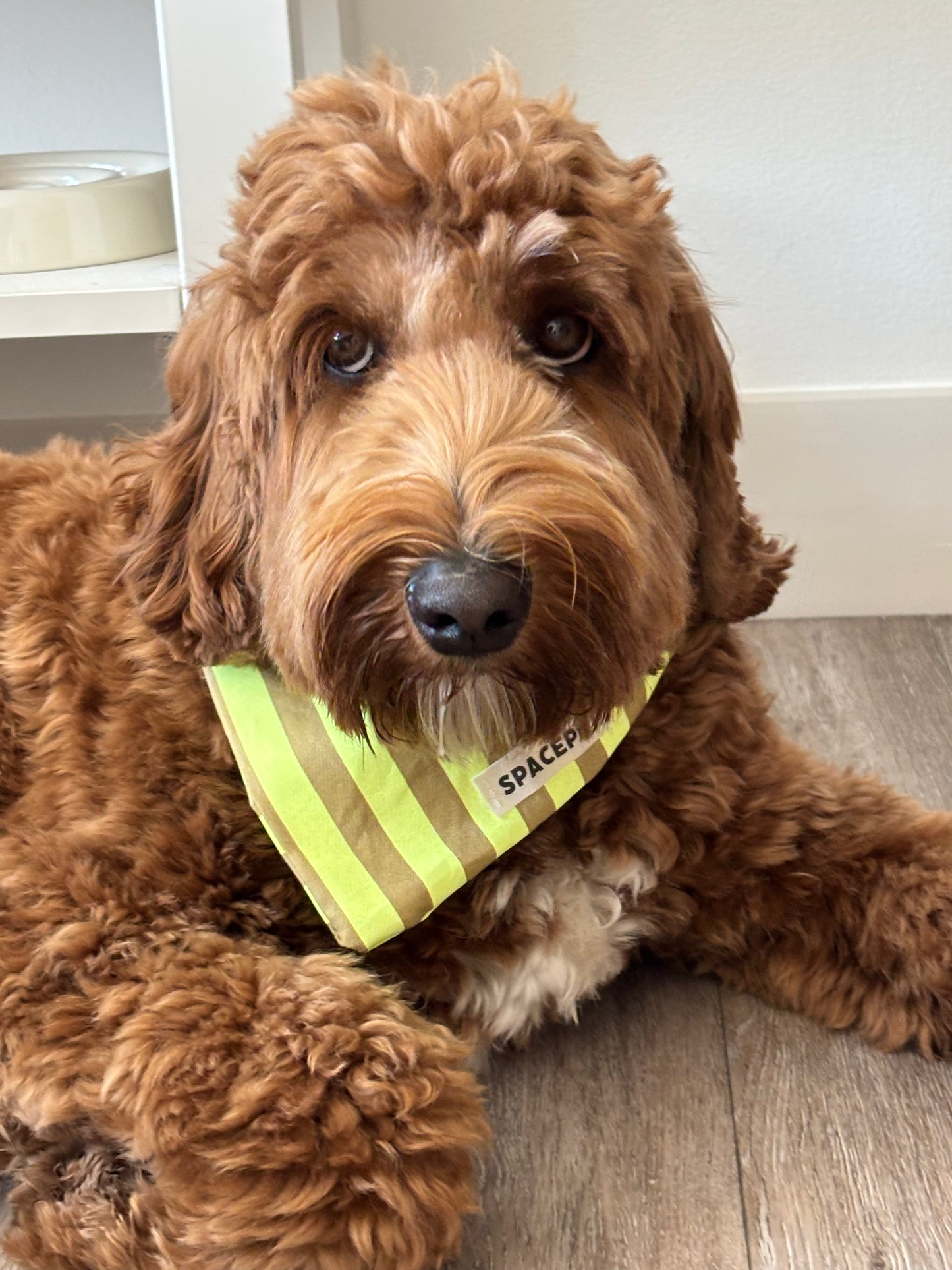 Handmade Cotton Dog Bandana – Yellow Striped Pet Neckwear