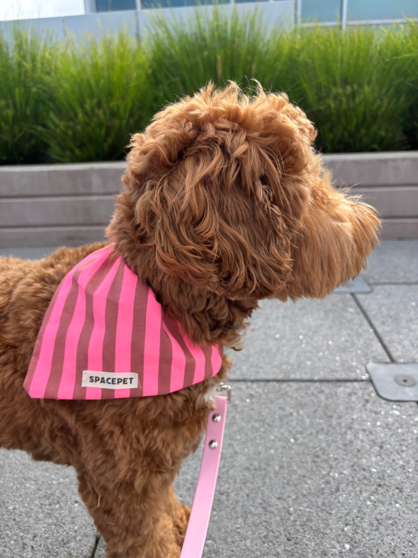 Handmade Cotton Dog Bandana – Pink Striped Pet Neckwear