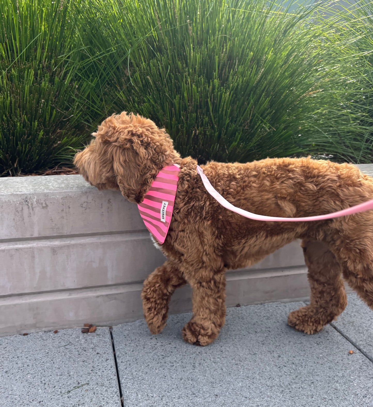 Handmade Cotton Dog Bandana – Pink Striped Pet Neckwear