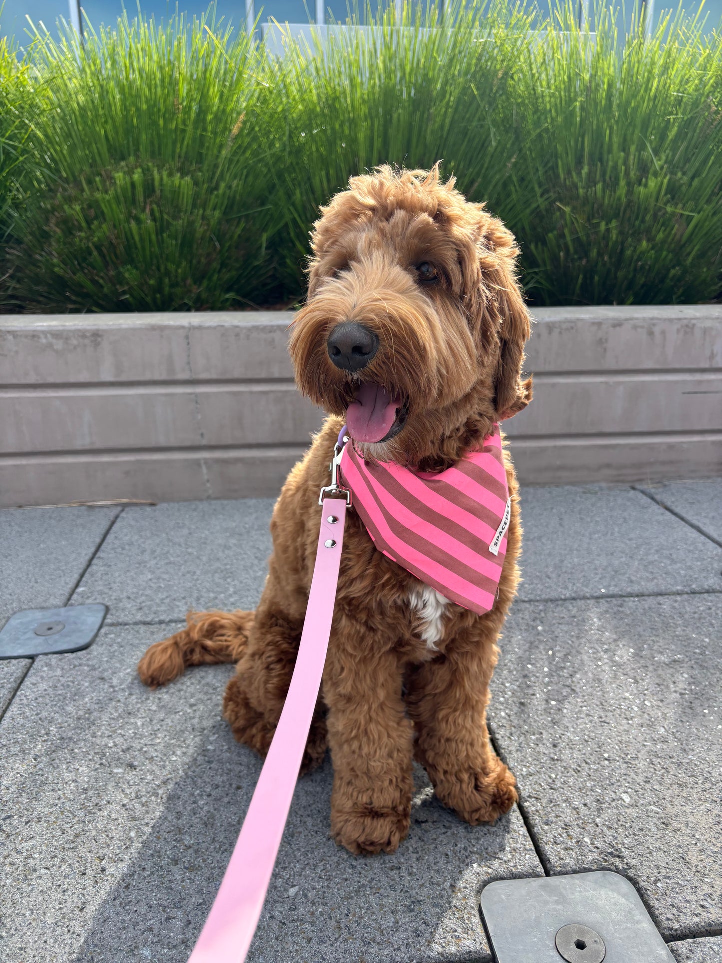 Handmade Cotton Dog Bandana – Pink Striped Pet Neckwear