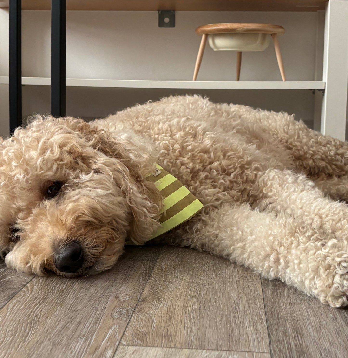 Handmade Cotton Dog Bandana – Yellow Striped Pet Neckwear