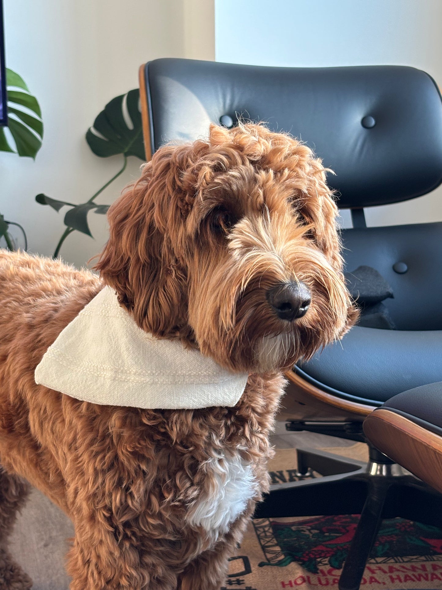 Handmade Cotton Dog Bandana – Snow White Pet Neckwear