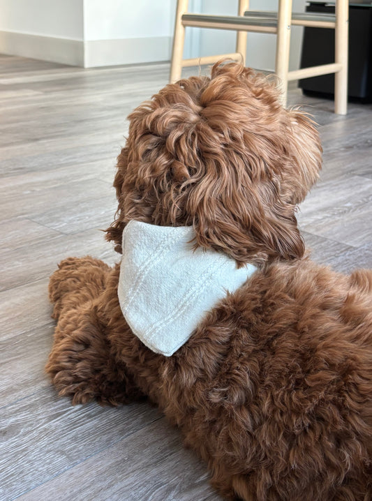 Handmade Cotton Dog Bandana – Snow White Pet Neckwear