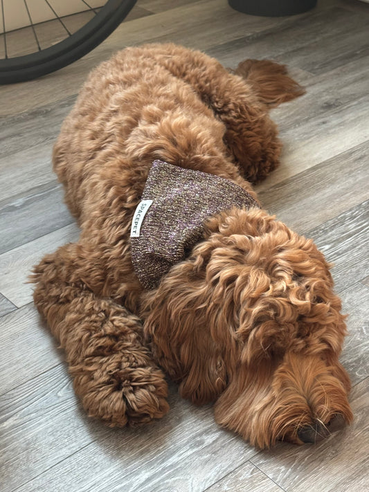 Handmade Cotton Dog Bandana – Jingle Bell Pet Neckwear