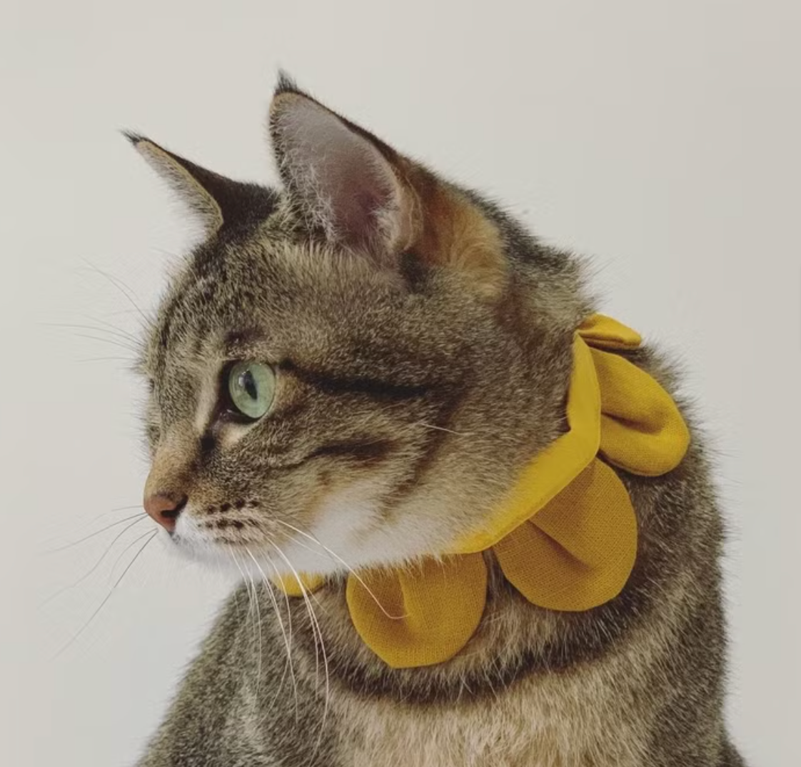 Flower Petal Bandana for Cats and Dogs (Yellow)– Adjustable Floral Pet Collar Accessory