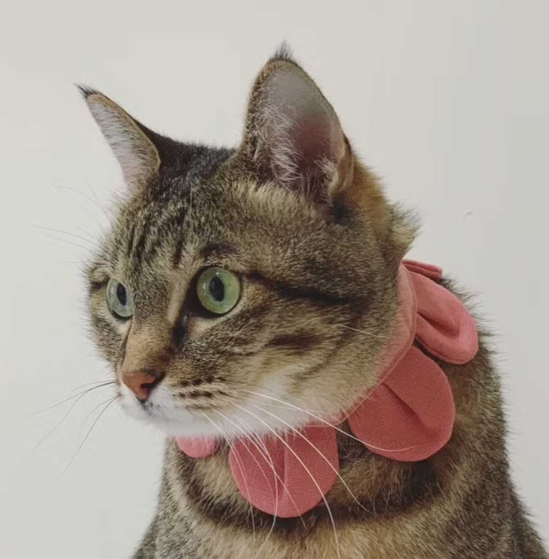Flower Petal Bandana for Cats and Dogs (Pink)– Adjustable Floral Pet Collar Accessory