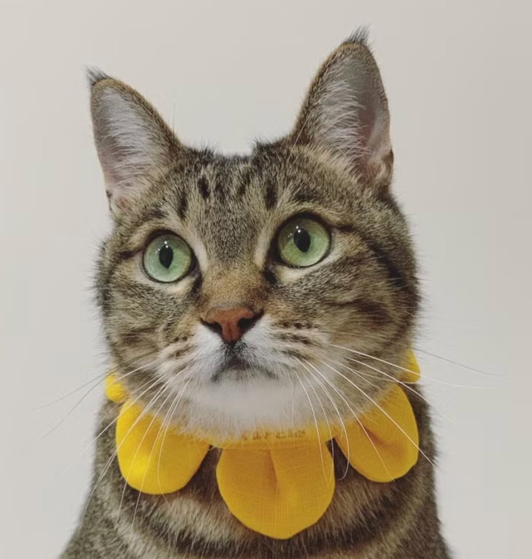 Flower Petal Bandana for Cats and Dogs (Yellow)– Adjustable Floral Pet Collar Accessory