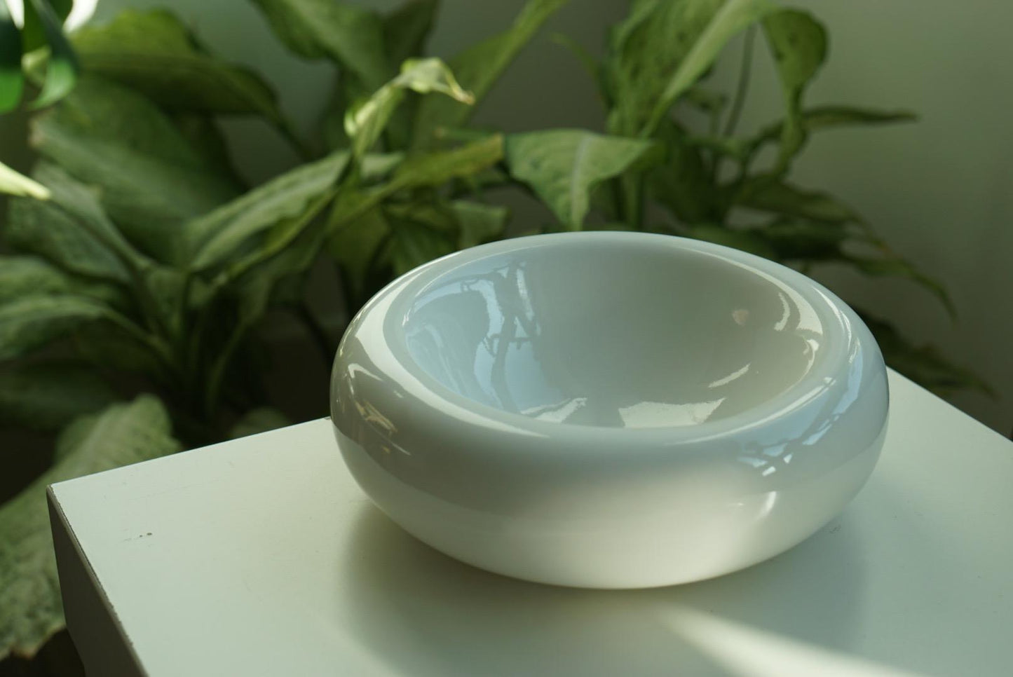 Modern Ceramic Donut Shape Pet Bowl – Elevated Design for Cats & Small Dogs