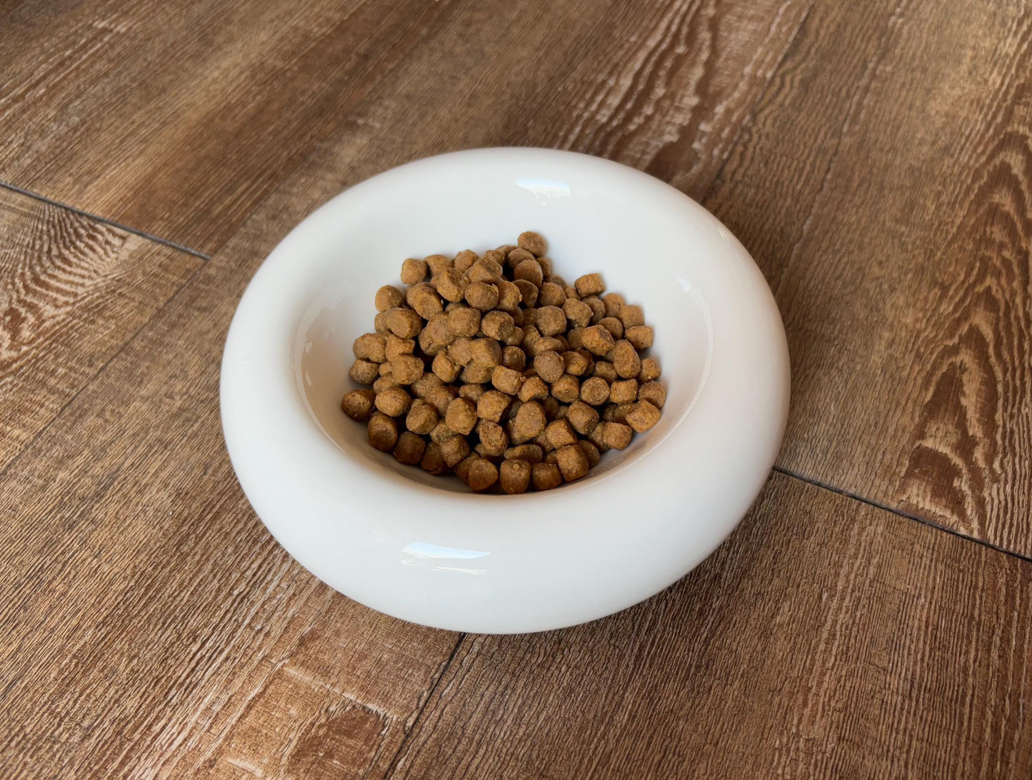 Modern Ceramic Donut Shape Pet Bowl – Elevated Design for Cats & Small Dogs