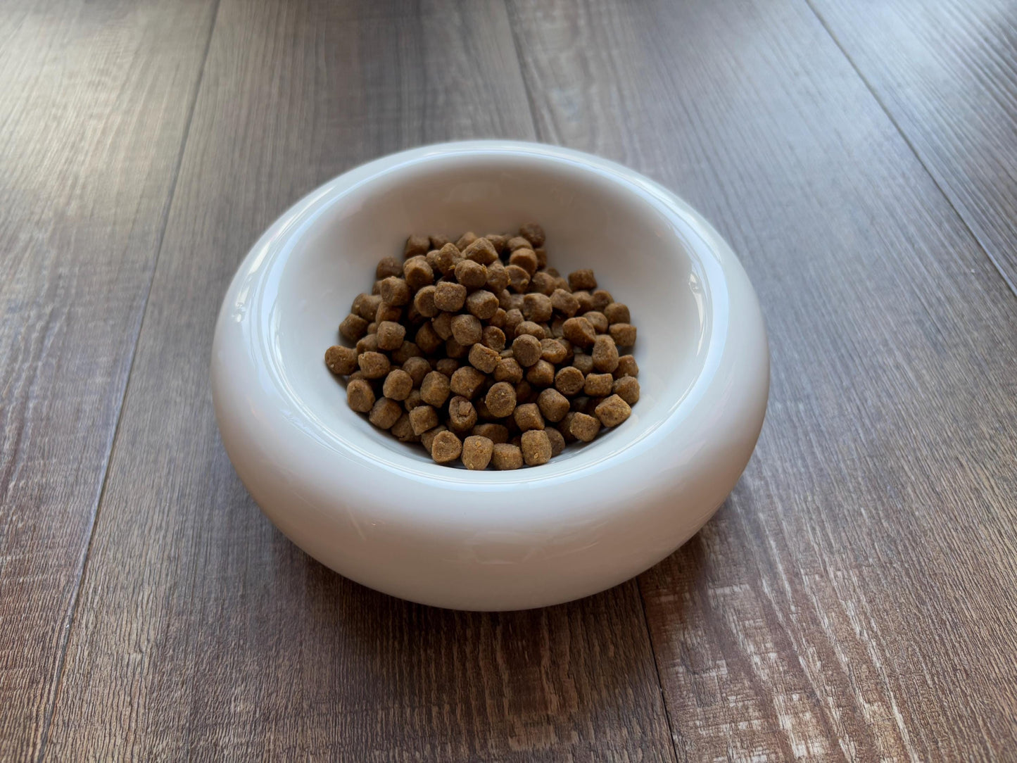 Modern Ceramic Donut Shape Pet Bowl – Elevated Design for Cats & Small Dogs