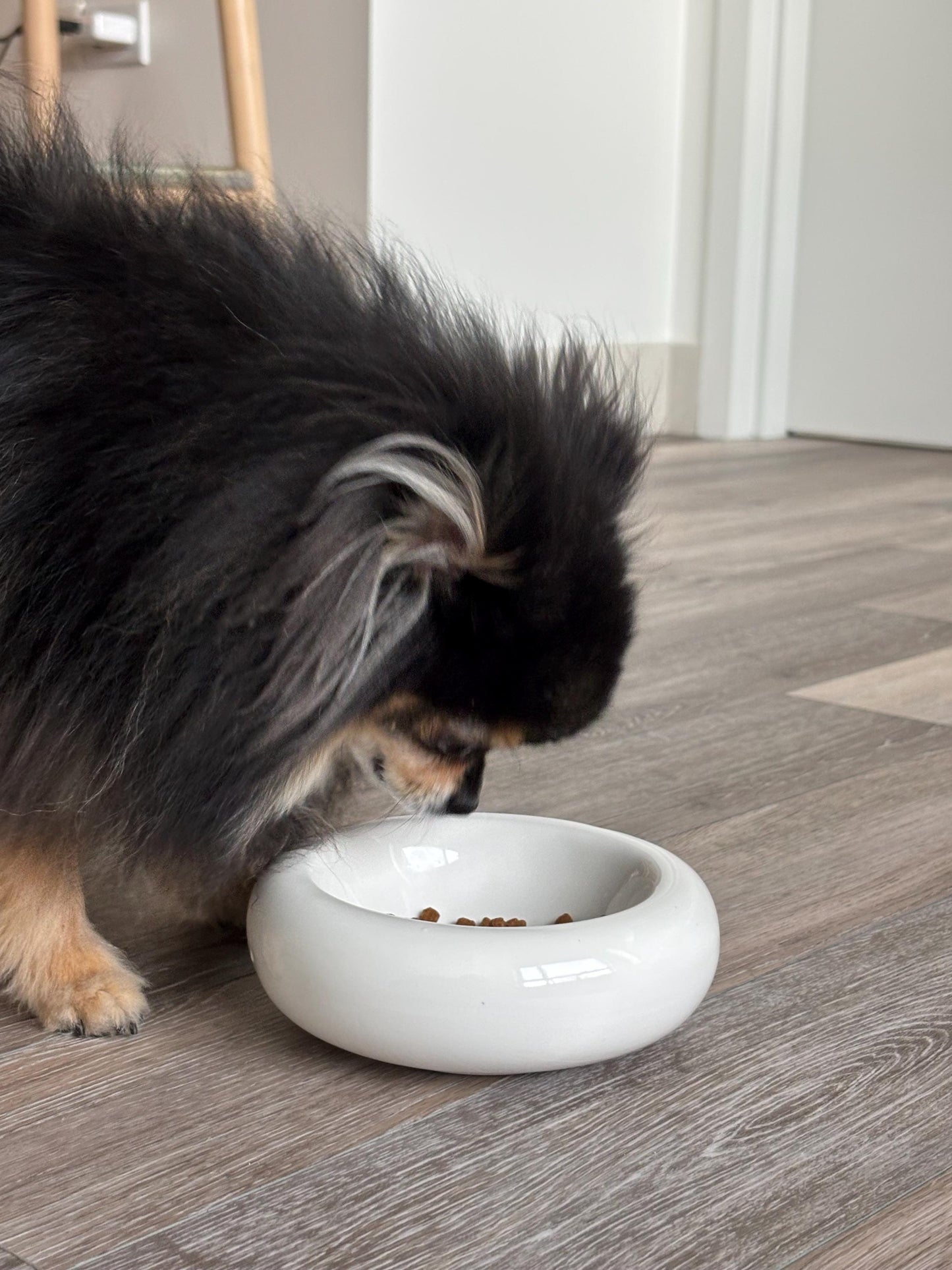 Modern Ceramic Donut Shape Pet Bowl – Elevated Design for Cats & Small Dogs