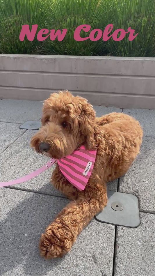 Handmade Cotton Dog Bandana – Pink Striped Pet Neckwear