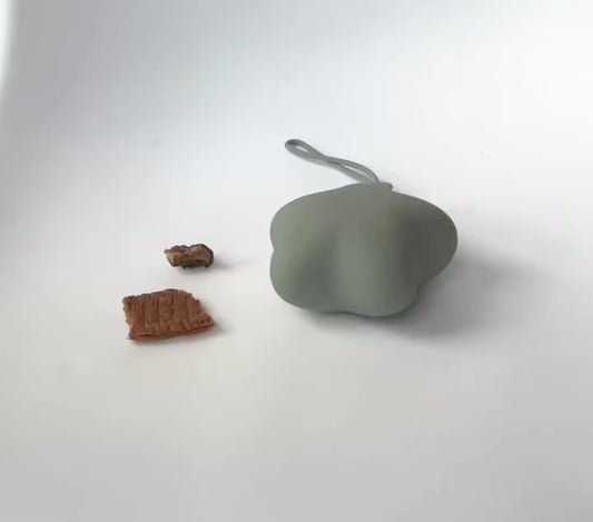 Comet Star Loop-Attach Treat Bag | Treat Holder & Snack Pouch – Stylish Pet Accessory for On-the-Go/ Training Portable Bag